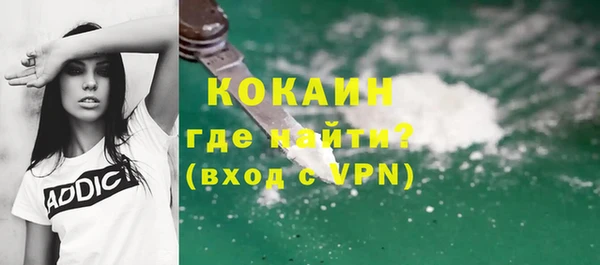 гидра Богданович