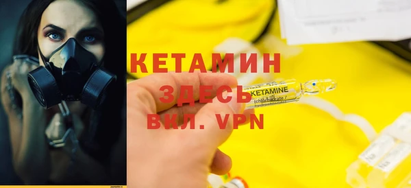 гидра Богородицк